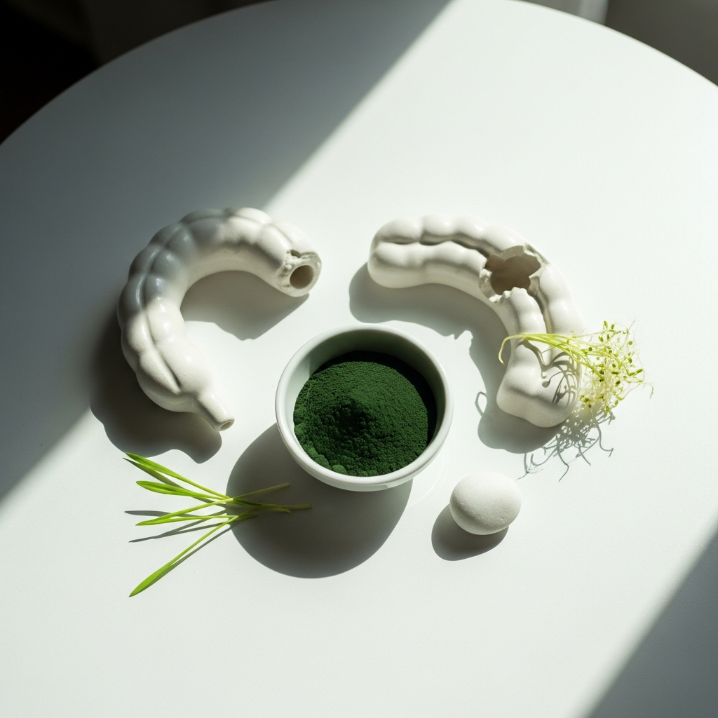 Spiruline et muqueuse intestinale : comment restaurer votre perméabilité intestinale