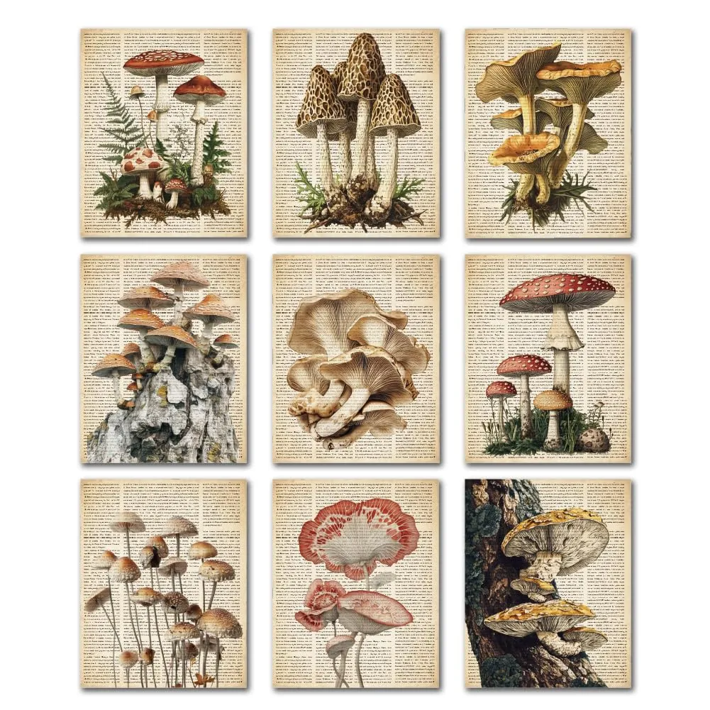 Affiche vintage - Botanique – DOODLREAM – 20×25 cm - Image 1