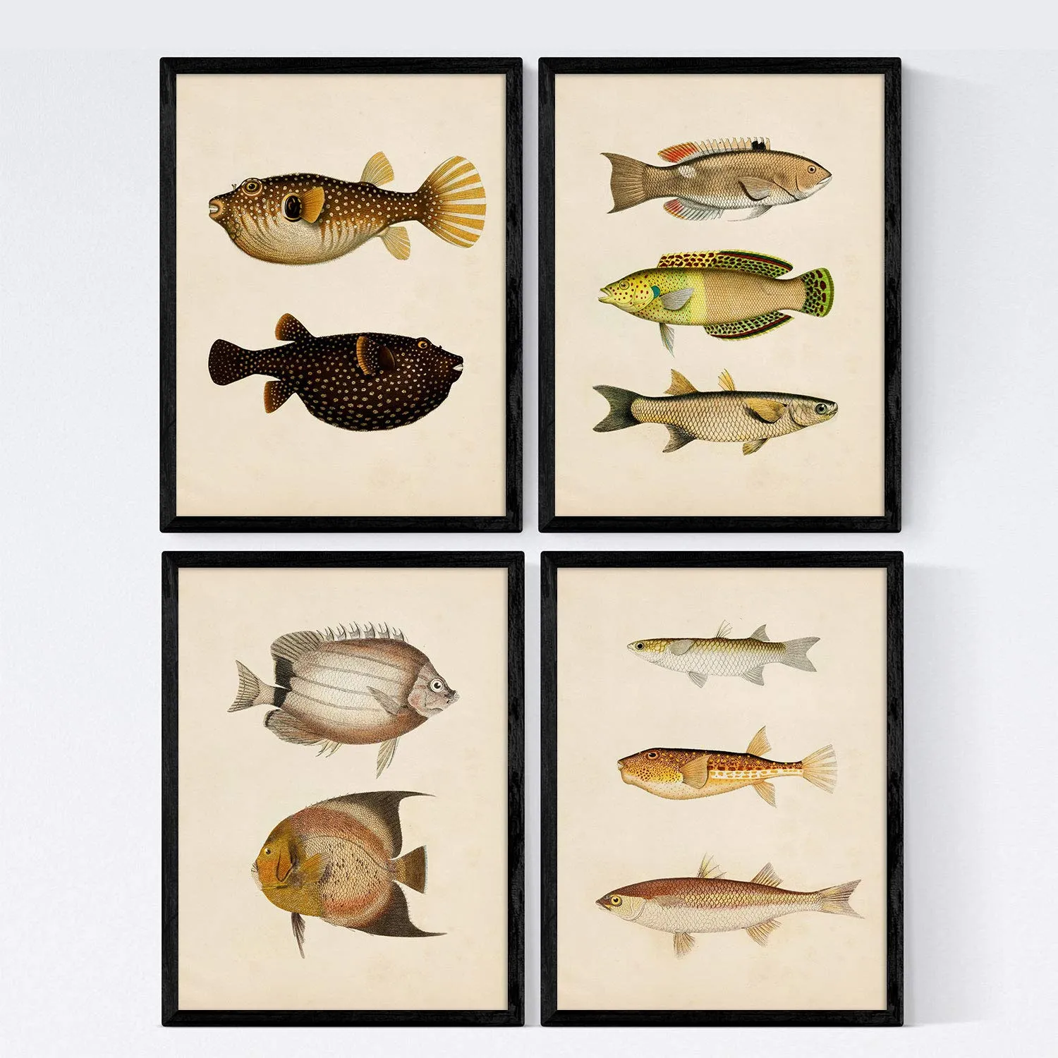 Affiche vintage - Nacnic Lot 4 Affiches – Nacnic – A4 - Image 1