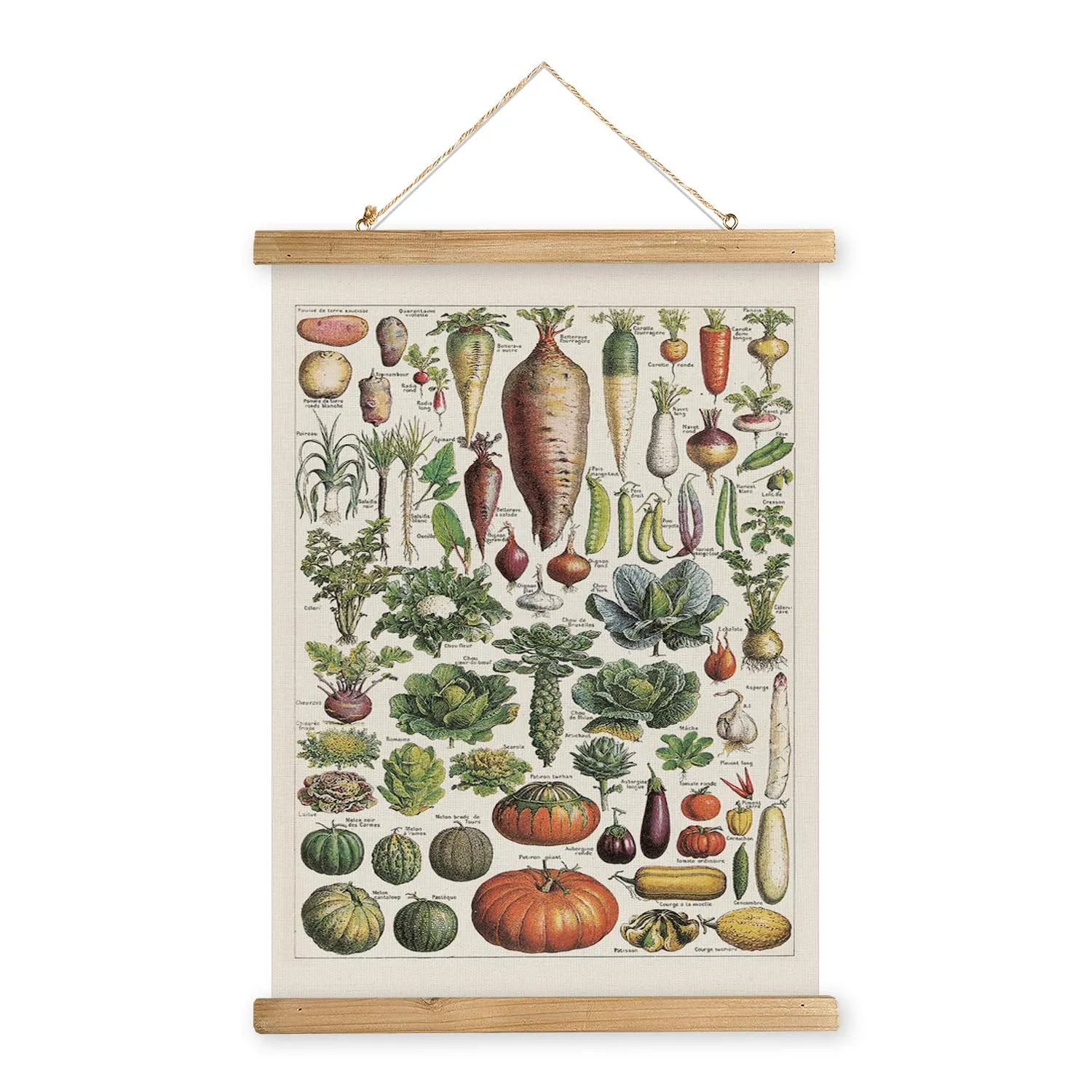 Affiche vintage - Légumes – XIAOAIKA – 40×58 cm - Image 1