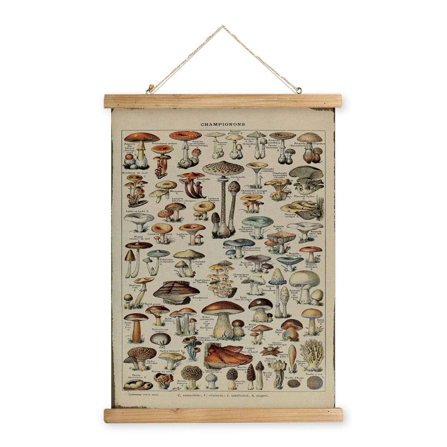 Affiche vintage - XIAOAIKA Champignons Cadre Bois, – XIAOAIKA – 40×58 cm