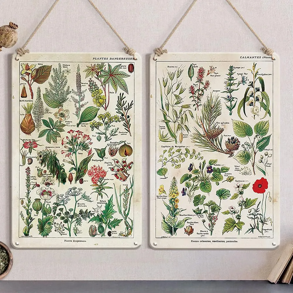 Affiche vintage - Bohème – Lot – 30×20 cm - Image 1