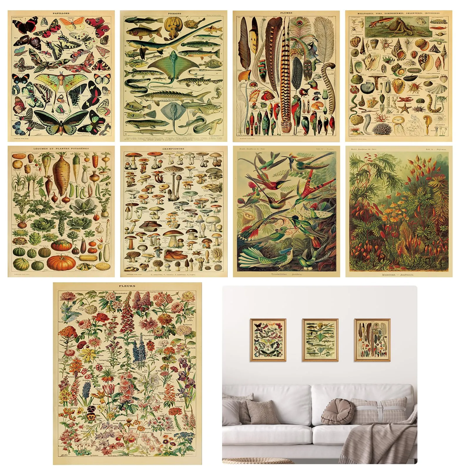 Affiche vintage - Fleurs – TNSLAND – 20×25 cm