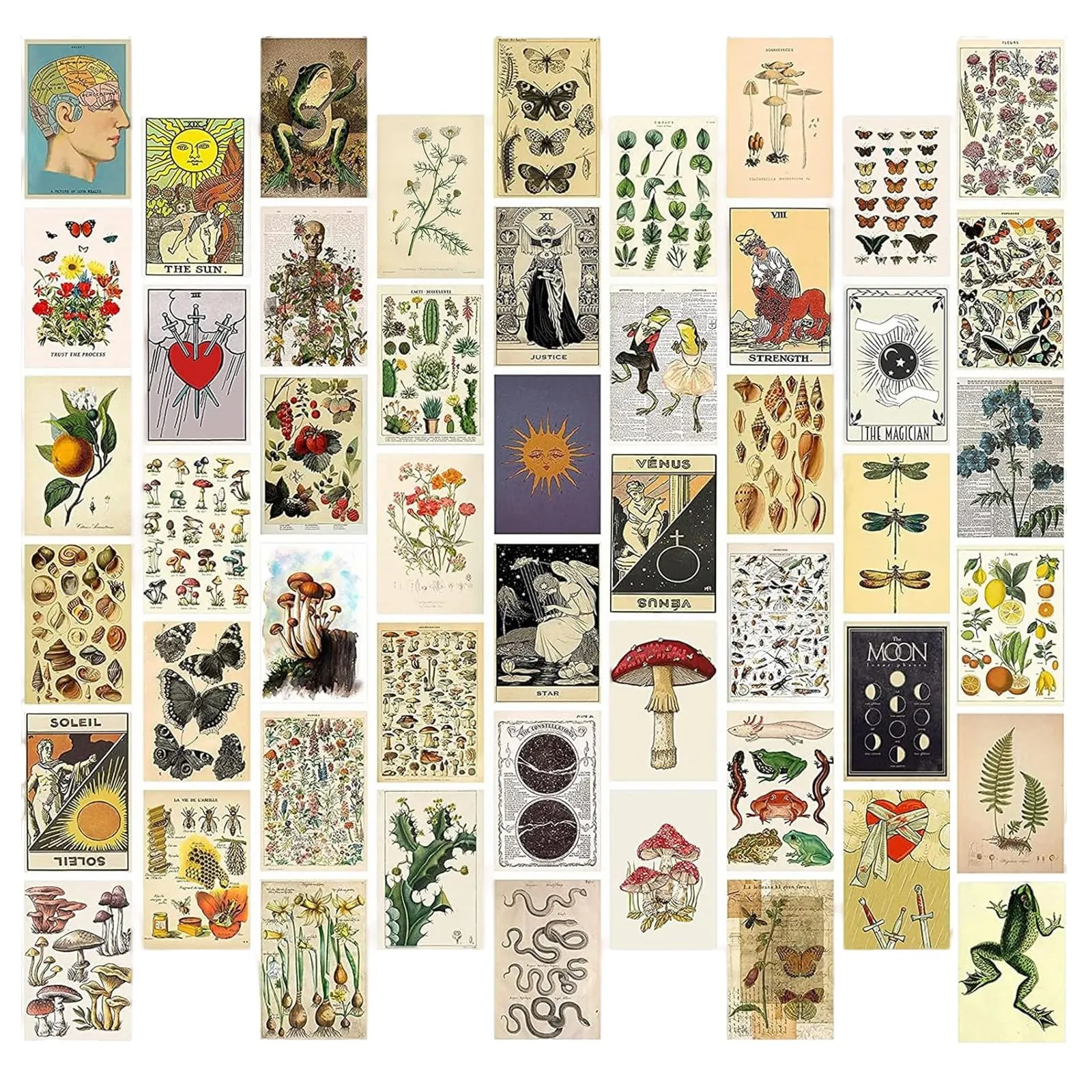 Affiche vintage - Poster Mural – YUZHEDM 50 Pièces - Image 1