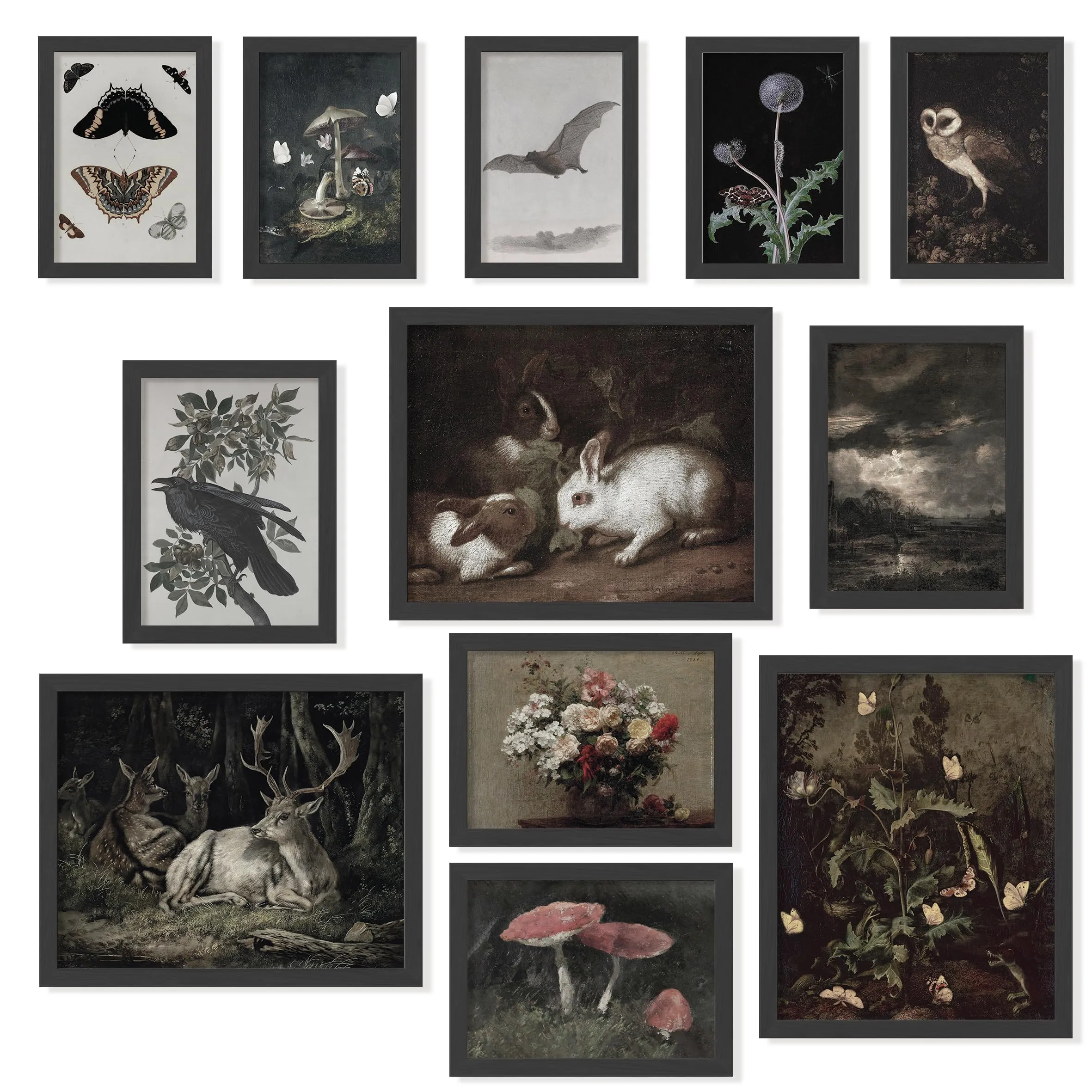 Affiche vintage - Animaux – 97 Decor Dark Cottagecore Decor