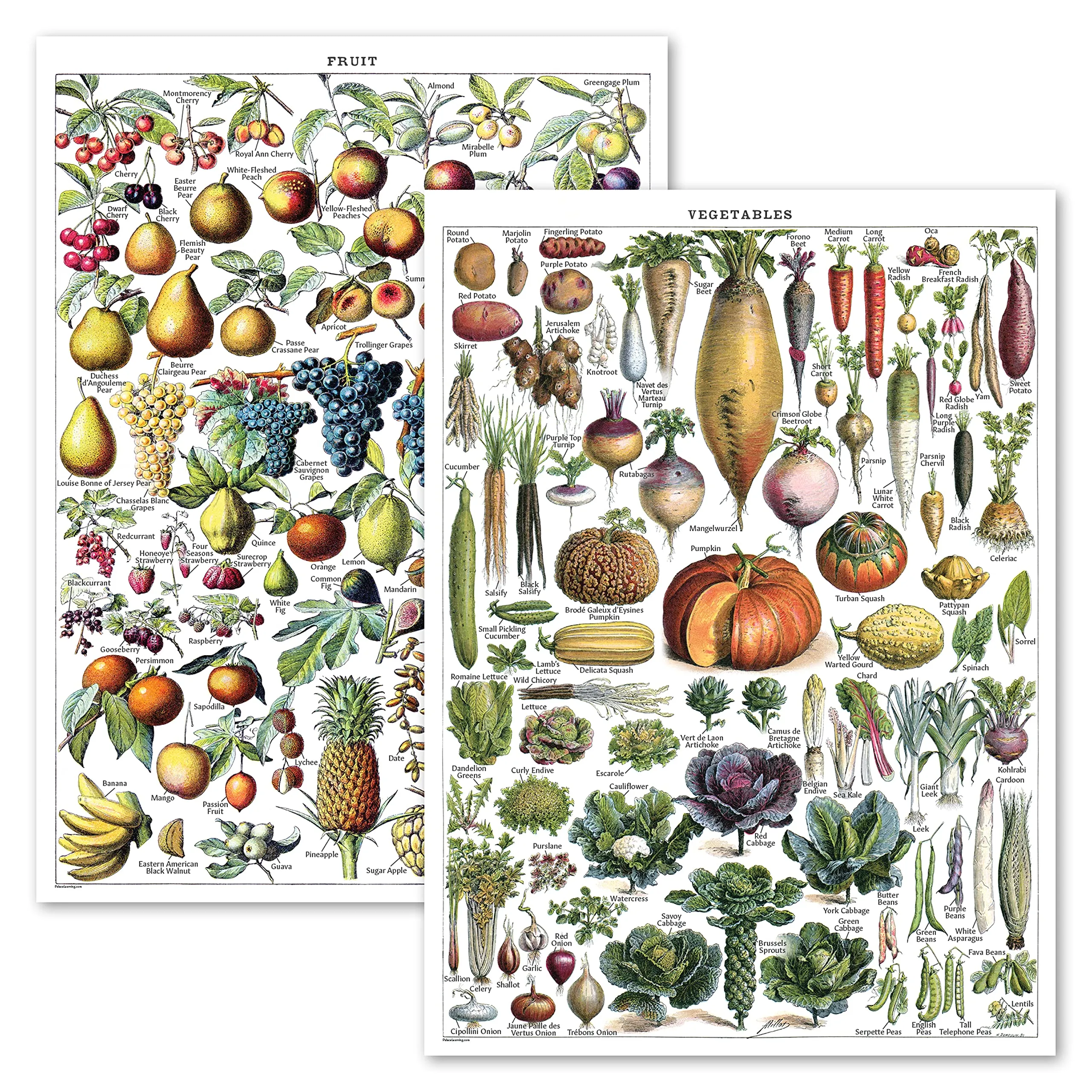 Affiche vintage - Cuisine – Posters vintage Fruits et légumes